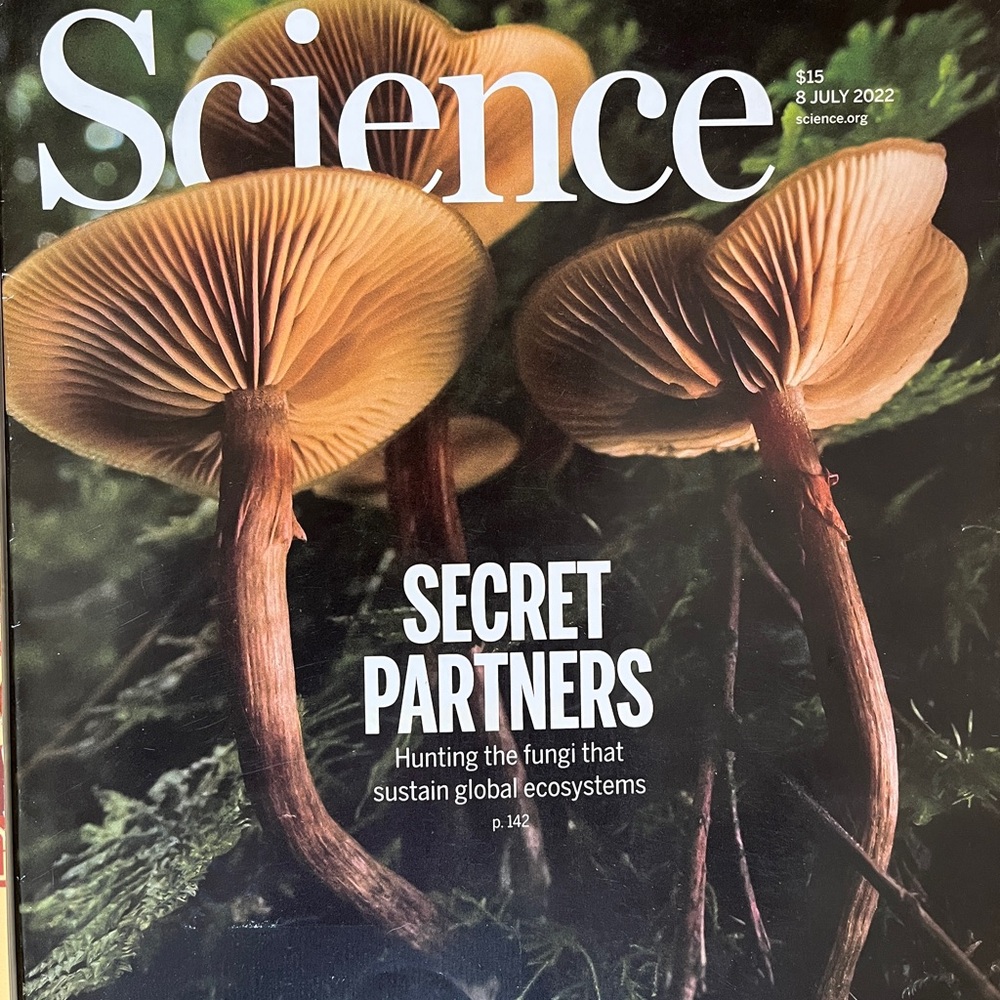 4 Science Magazines. Stunning Set. Feed your mind! Inspire! Enrich! Excite! - Picture 5 of 8